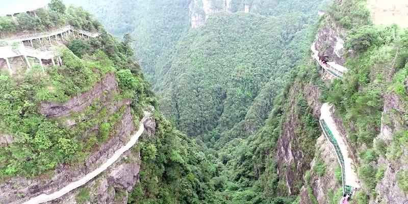 救援鹦鹉